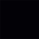RAL 9005 (zwart)